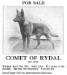 Comet of Rydal&#x27;s 1922 Bulletin Advertisement