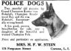 Historical Ad for Komet puppies