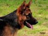 ILBO on show with 10 months (06/05/2012)
