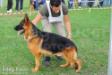Ciro Team Carrubba