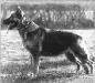 Rike von Colonia Agrippina