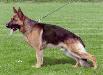 Hatto von der Grafschaft Mark