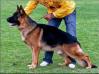 Balu del Recreo