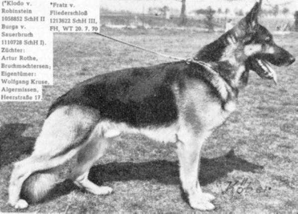 Fratz vom Fliederschloß