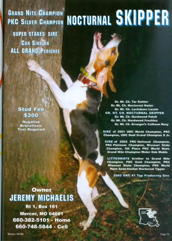 Ukc treeing walker coonhounds