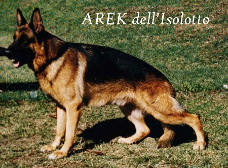 VA2(I) Arek dell' Isolotto