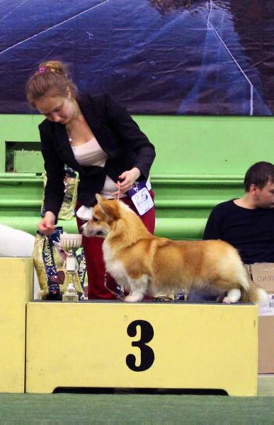 Style Life Never Better Style Life Never Better