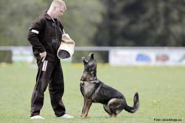 Juma vom Waldhäuser Schloß Juma vom Waldhäuser Schloß