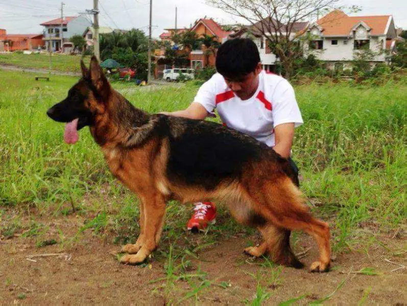 Zona von Haus Neoplantum Zona von Haus Neoplantum