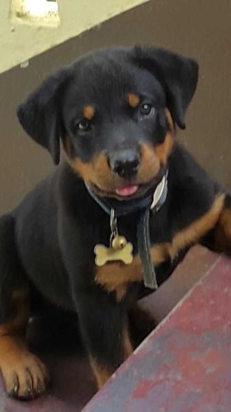 Classicharlie Messie