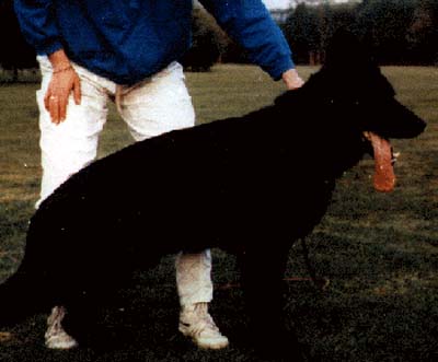 5156-330822.jpg